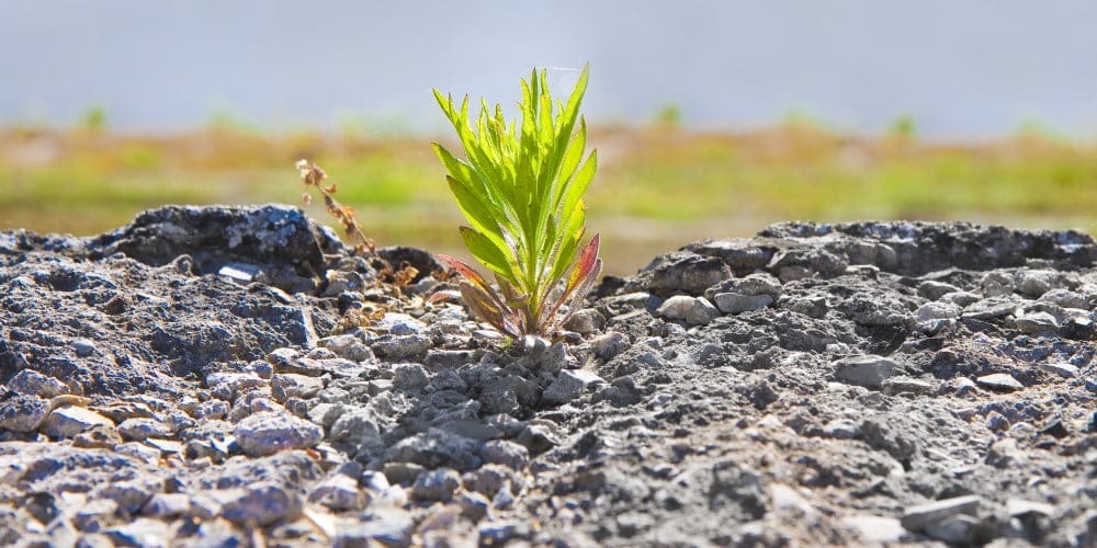 Workshop sobre Adaptabilidad