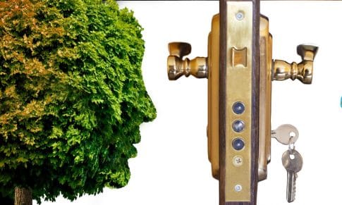 Sostenibilidad corporativa ¿Cuál es el papel de los líderes?