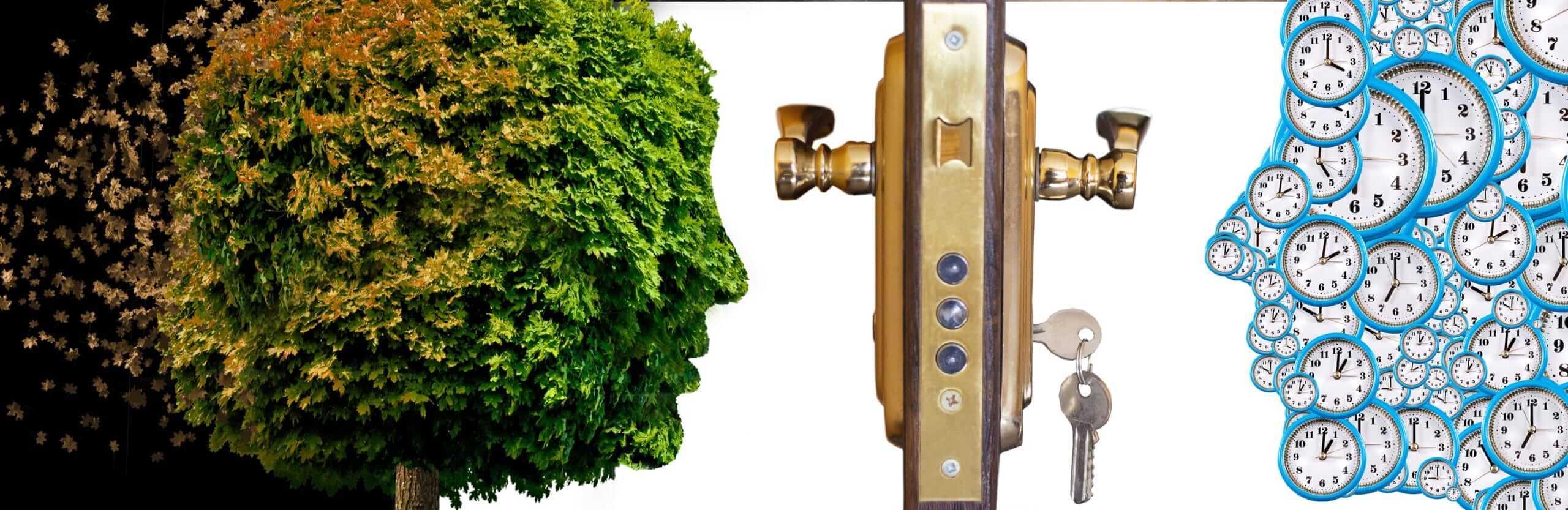 Sostenibilidad corporativa