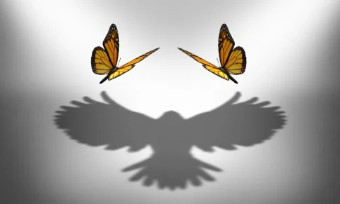 Liderazgo Situacional: La eficacia para la Resolución de Problemas