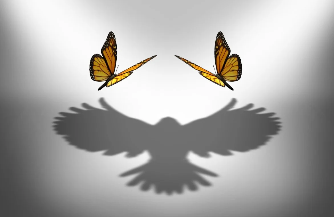 Liderazgo Situacional