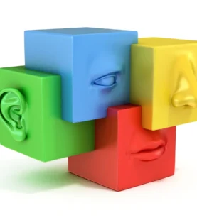 Los Sentidos del Líder: Liderazgo Sensorial para Despertar el Liderazgo a Través de los Cinco Sentidos